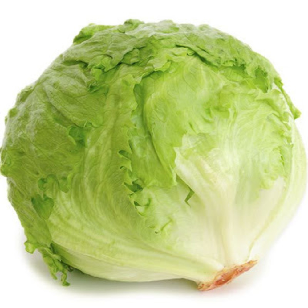 Meet your Posher, Lettuce